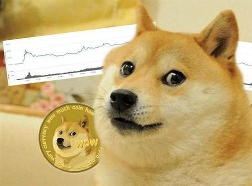 neodoge币是什么币?neodoge币值得投资吗