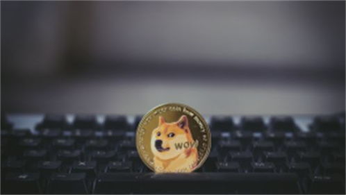 dogemoon币是什么币?dogemoon币值得投资吗