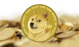 wishdoge币是什么币?wishdoge币值得投资吗