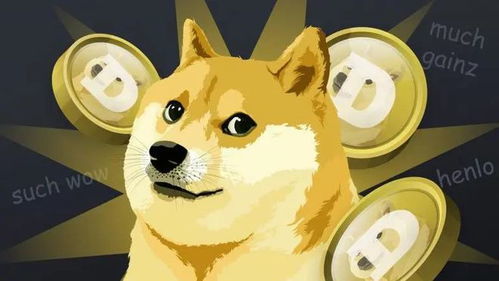 goofydoge币是什么币?goofydoge币值得投资吗