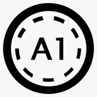 A1 CoinLOGO