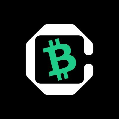 BCH Club CASHLOGO