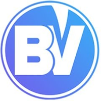 BitvierLOGO