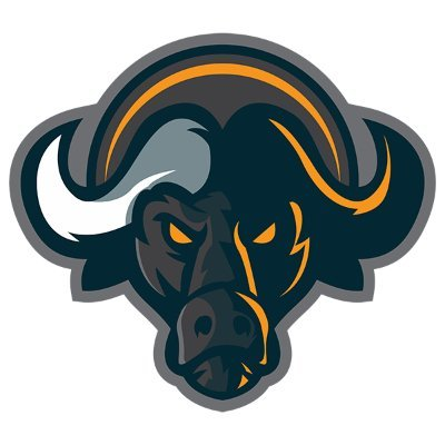 Buffalo SwapLOGO