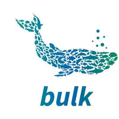 Bulk NetworkLOGO