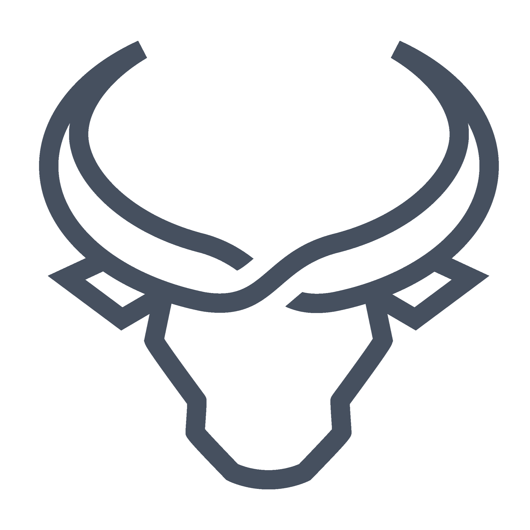 Bull RunLOGO