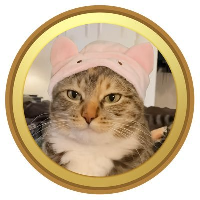 CatwifhatLOGO