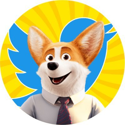 CORGI CEOLOGO