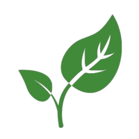 CryptoLeafLOGO