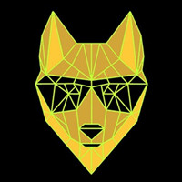 Dingo TokenLOGO