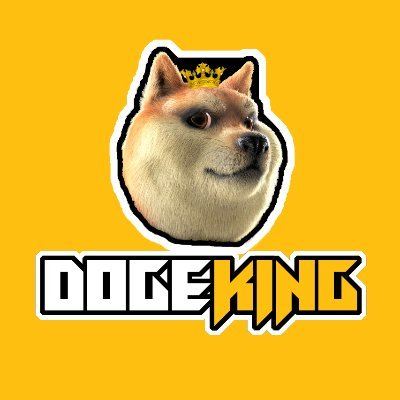 DogeKing MetaverseLOGO