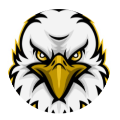 Eagle VisionLOGO