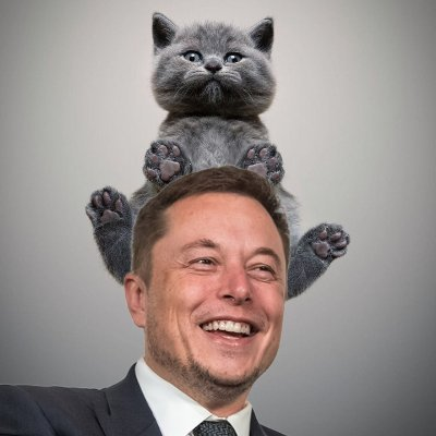 ELON CAT COINLOGO