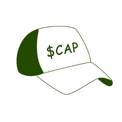 Fake Market CapLOGO