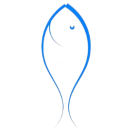 Fish Capital COINLOGO