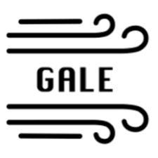 Gale NetworkLOGO