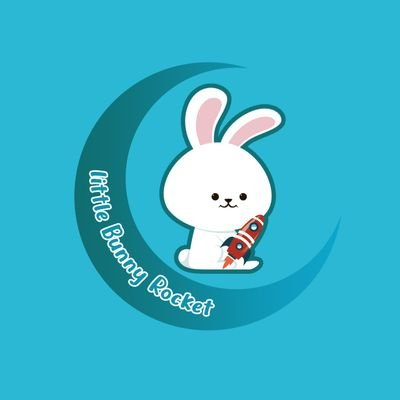 Little Bunny RocketLOGO