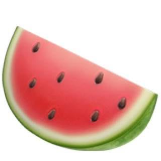 MelonLOGO