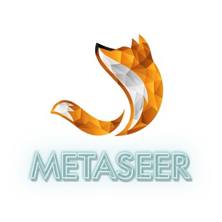 MetaseerLOGO