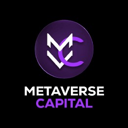 Metaverse CapitalLOGO