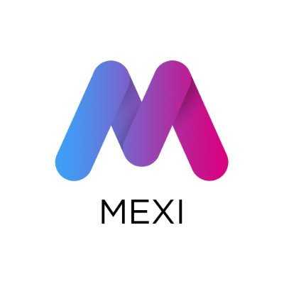 MetaxizLOGO