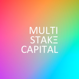 Multi-Stake CapitalLOGO