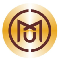 MXM TokenLOGO