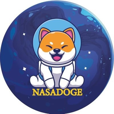 Nasa DogeLOGO