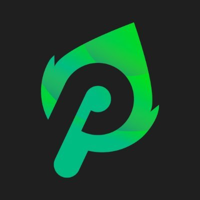 PlayerMintLOGO