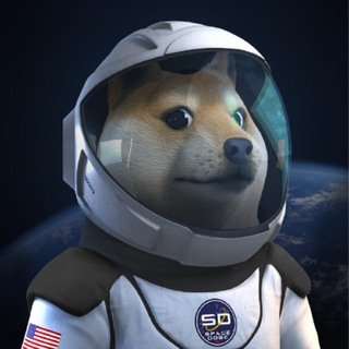 SpaceXDogeLOGO