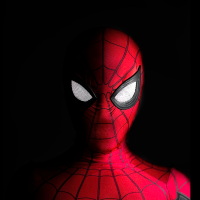 Spider ManLOGO