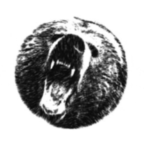 The BearLOGO