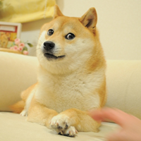 The Doge NFTLOGO