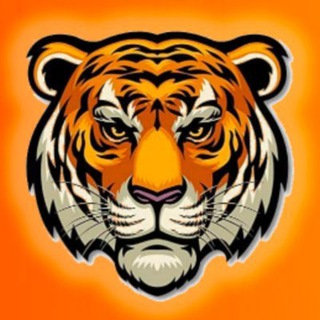 TIGER COINLOGO