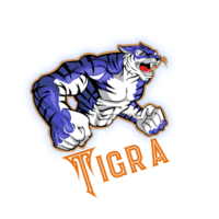 Tigra CoinLOGO