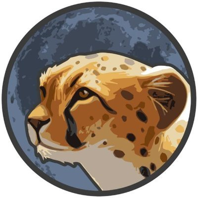 Cheetah tokenLOGO