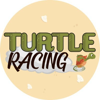 Turtle RacingLOGO