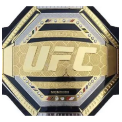 UFC WINLOGO