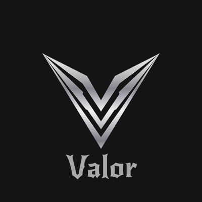 ValorFoundationLOGO