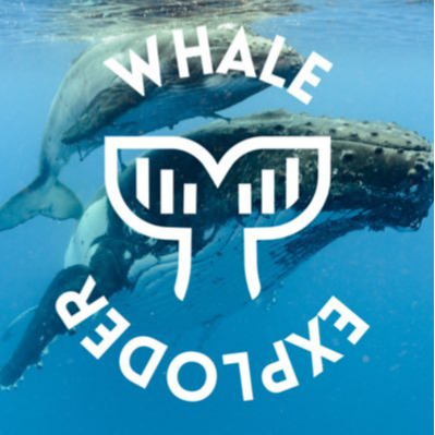 Whale ExploderLOGO